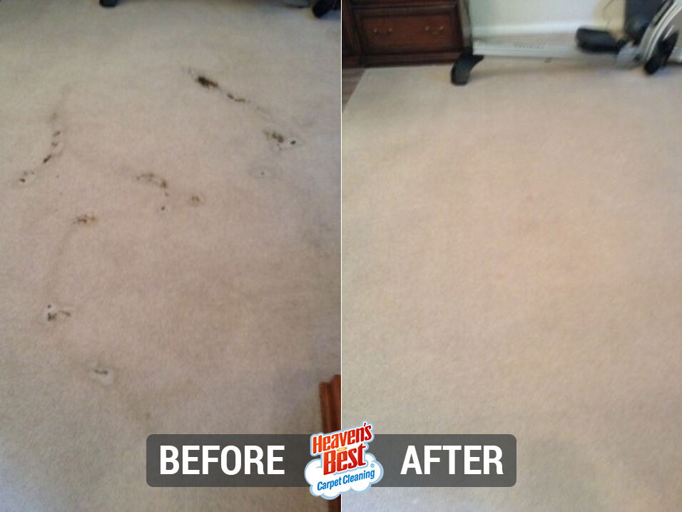 Heaven's Best Carpet & Upholstery Cleaning of Colorado Springs