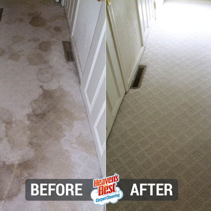 Heaven's Best Carpet & Upholstery Cleaning of Colorado Springs